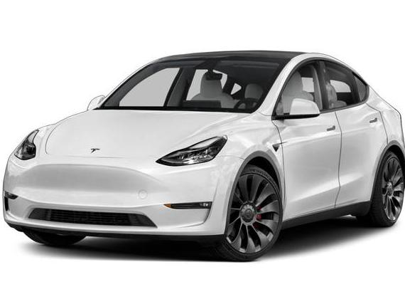 TESLA MODEL Y 2023 7SAYGDEE3PF895363 image